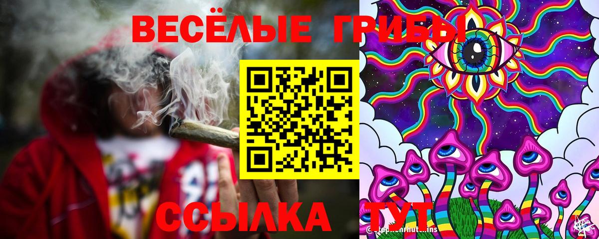 Псилоцибиновые грибы Psilocybe Видное