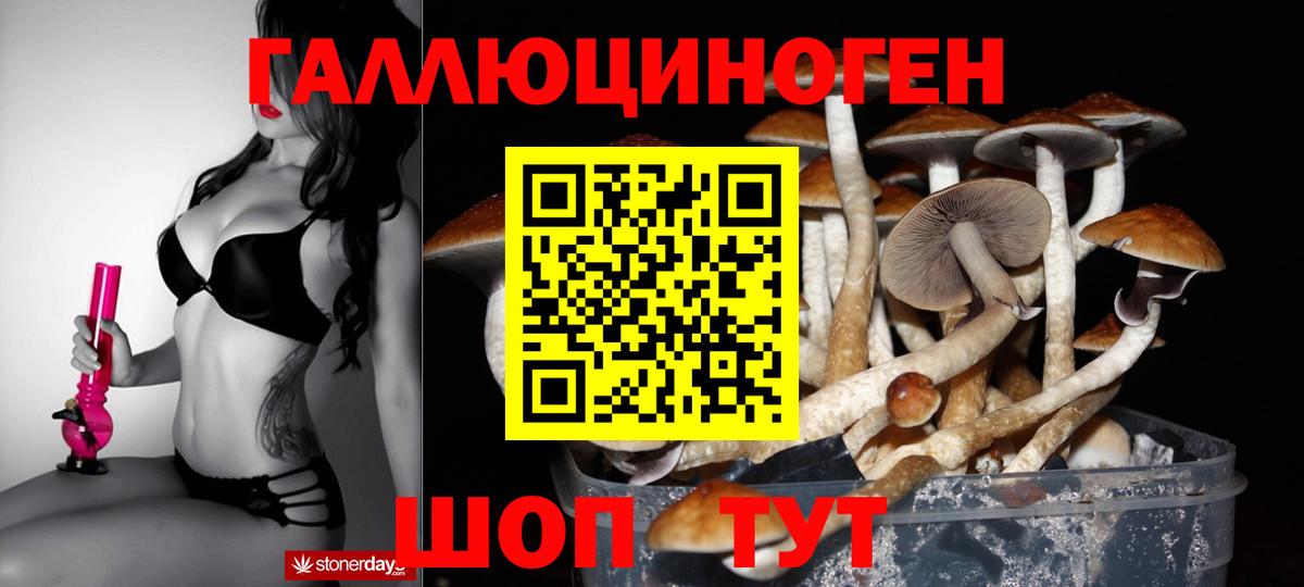Галлюциногенные грибы GOLDEN TEACHER  Вход с VPN  Псилоцибиновые грибы MAGIC MUSHROOMS  Видное 